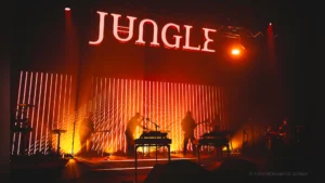 Jungle