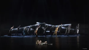 THE WILD DUCK by The Norwegian National Ballet