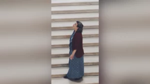 An evening at the Louvre with Birds on The Wire