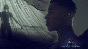 THE BLACK PRINCE OF SWEDEN